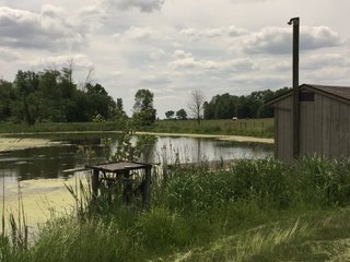 Pond on a farm in Noble County, Indiana - REAL ESTATE AUCTION - 70+/- ACRES OFFERED IN 3 TRACTS IN NOBLE COUNTY, INDIANA