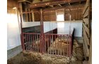 Property photo 16 - PERSONAL PROPERTY AUCTION IN WHITLEY COUNTY, INDIANA
