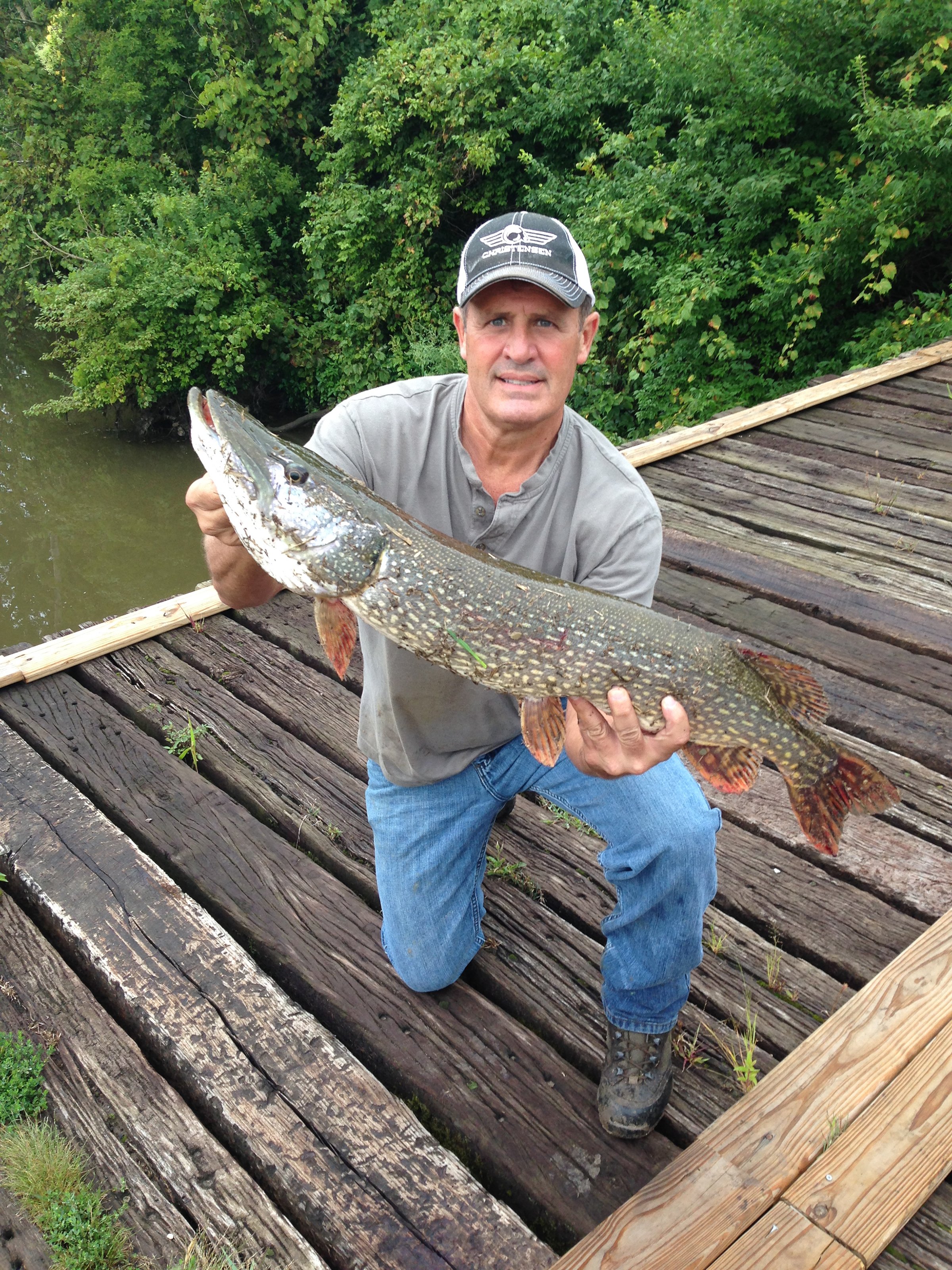 Lake County, Indiana wildlife caught - LAND AUCTION - 147+/- ACRES OFFERED IN 3 TRACTS IN LAKE COUNTY, INDIANA