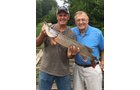 Lake County, Indiana wildlife caught - LAND AUCTION - 147+/- ACRES OFFERED IN 3 TRACTS IN LAKE COUNTY, INDIANA