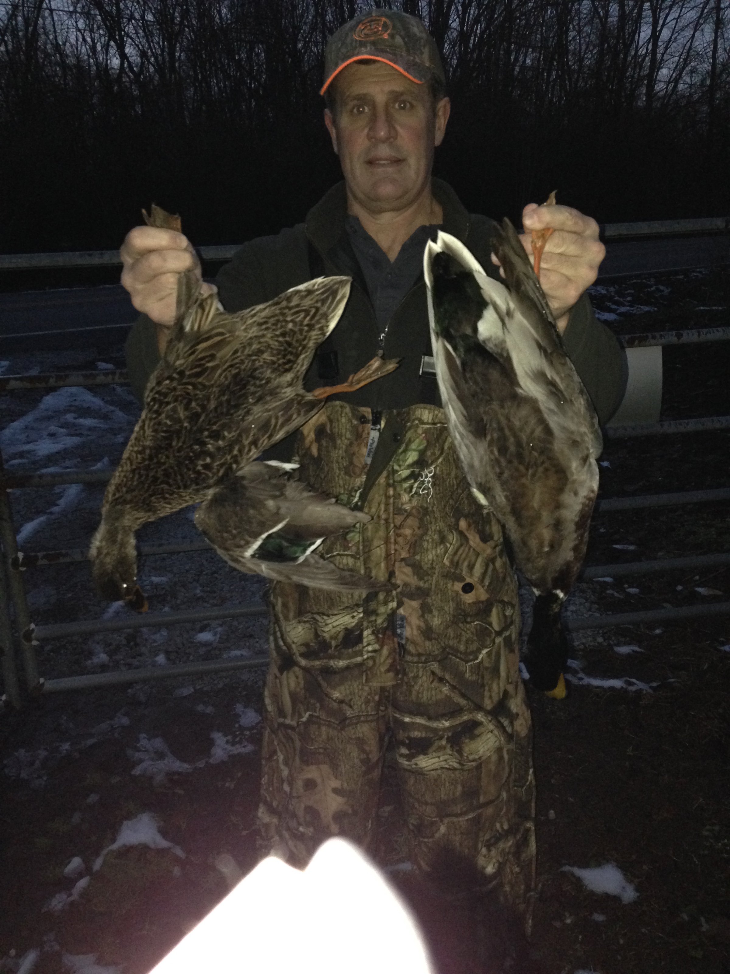 Lake County, Indiana wildlife caught - LAND AUCTION - 147+/- ACRES OFFERED IN 3 TRACTS IN LAKE COUNTY, INDIANA