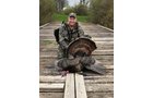 wildlife on Lake County, Indiana farmland - LAND AUCTION - 147+/- ACRES OFFERED IN 3 TRACTS IN LAKE COUNTY, INDIANA