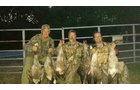 wildlife on Lake County, Indiana farmland - LAND AUCTION - 147+/- ACRES OFFERED IN 3 TRACTS IN LAKE COUNTY, INDIANA