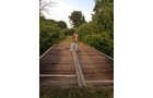 wildlife on Lake County, Indiana farmland - LAND AUCTION - 147+/- ACRES OFFERED IN 3 TRACTS IN LAKE COUNTY, INDIANA