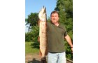 wildlife on Lake County, Indiana farmland - LAND AUCTION - 147+/- ACRES OFFERED IN 3 TRACTS IN LAKE COUNTY, INDIANA