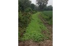 Food Plots - LAND AUCTION - 147+/- ACRES OFFERED IN 3 TRACTS IN LAKE COUNTY, INDIANA