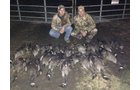 wildlife on Lake County, Indiana farmland - LAND AUCTION - 147+/- ACRES OFFERED IN 3 TRACTS IN LAKE COUNTY, INDIANA