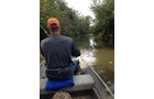 wildlife on Lake County, Indiana farmland - LAND AUCTION - 147+/- ACRES OFFERED IN 3 TRACTS IN LAKE COUNTY, INDIANA