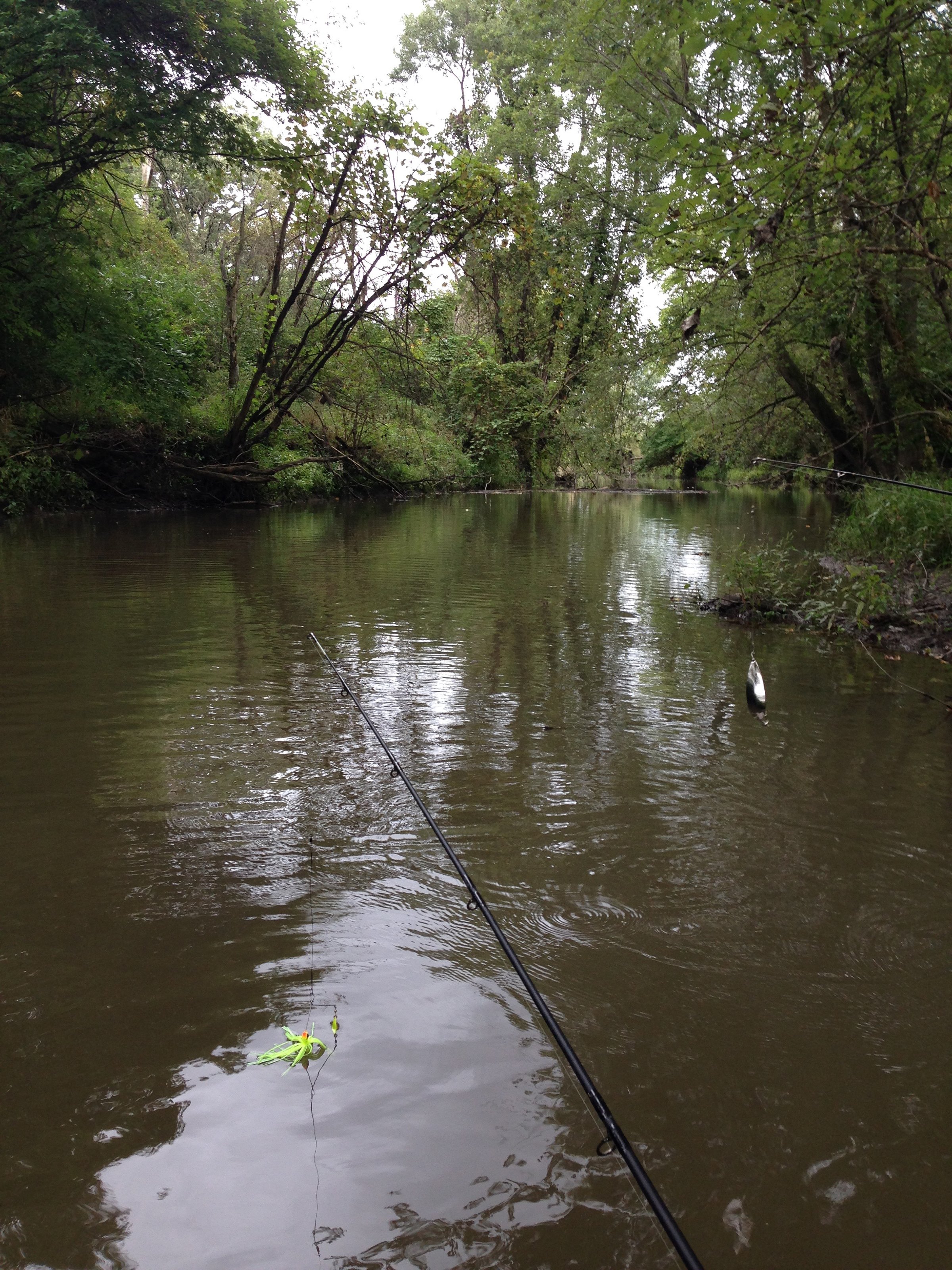 wildlife on Lake County, Indiana farmland - LAND AUCTION - 147+/- ACRES OFFERED IN 3 TRACTS IN LAKE COUNTY, INDIANA