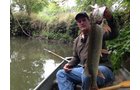 wildlife on Lake County, Indiana farmland - LAND AUCTION - 147+/- ACRES OFFERED IN 3 TRACTS IN LAKE COUNTY, INDIANA