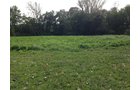 Food Plots - LAND AUCTION - 147+/- ACRES OFFERED IN 3 TRACTS IN LAKE COUNTY, INDIANA