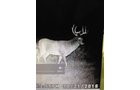 wildlife on Lake County, Indiana farmland - LAND AUCTION - 147+/- ACRES OFFERED IN 3 TRACTS IN LAKE COUNTY, INDIANA