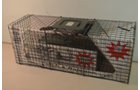 Property photo 111 - PERSONAL PROPERTY AUCTION IN ALLEN COUNTY, INDIANA