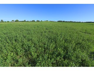 TRACT 1 - ABSOLUTE REAL ESTATE AUCTION - 384.239+/- ACRES OFFERED IN 9 TRACTS IN MERCER COUNTY, KENTUCKY