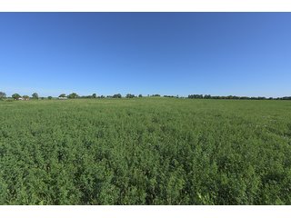 TRACT 1 - ABSOLUTE REAL ESTATE AUCTION - 384.239+/- ACRES OFFERED IN 9 TRACTS IN MERCER COUNTY, KENTUCKY
