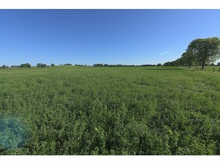 TRACT 1 - ABSOLUTE REAL ESTATE AUCTION - 384.239+/- ACRES OFFERED IN 9 TRACTS IN MERCER COUNTY, KENTUCKY