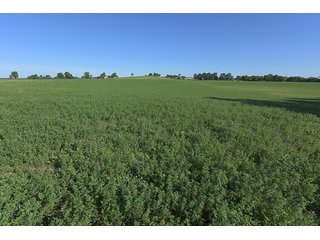 TRACT 1 - ABSOLUTE REAL ESTATE AUCTION - 384.239+/- ACRES OFFERED IN 9 TRACTS IN MERCER COUNTY, KENTUCKY