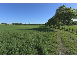 TRACT 8 - ABSOLUTE REAL ESTATE AUCTION - 384.239+/- ACRES OFFERED IN 9 TRACTS IN MERCER COUNTY, KENTUCKY