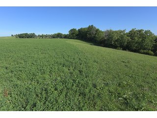 TRACT 8 - ABSOLUTE REAL ESTATE AUCTION - 384.239+/- ACRES OFFERED IN 9 TRACTS IN MERCER COUNTY, KENTUCKY