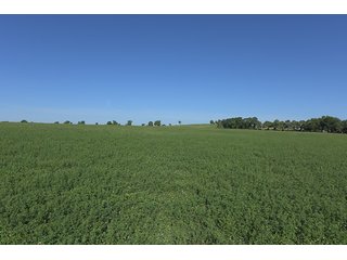 TRACT 1 - ABSOLUTE REAL ESTATE AUCTION - 384.239+/- ACRES OFFERED IN 9 TRACTS IN MERCER COUNTY, KENTUCKY