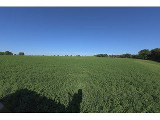 TRACT 1 - ABSOLUTE REAL ESTATE AUCTION - 384.239+/- ACRES OFFERED IN 9 TRACTS IN MERCER COUNTY, KENTUCKY