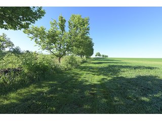 TRACTS 8 - ABSOLUTE REAL ESTATE AUCTION - 384.239+/- ACRES OFFERED IN 9 TRACTS IN MERCER COUNTY, KENTUCKY
