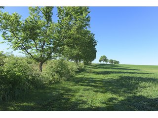 TRACT 8 - ABSOLUTE REAL ESTATE AUCTION - 384.239+/- ACRES OFFERED IN 9 TRACTS IN MERCER COUNTY, KENTUCKY