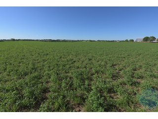 TRACT 5 - ABSOLUTE REAL ESTATE AUCTION - 384.239+/- ACRES OFFERED IN 9 TRACTS IN MERCER COUNTY, KENTUCKY