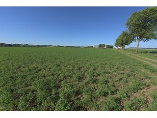 TRACT 5 - ABSOLUTE REAL ESTATE AUCTION - 384.239+/- ACRES OFFERED IN 9 TRACTS IN MERCER COUNTY, KENTUCKY
