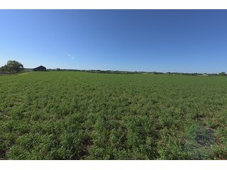 TRACT 5 - ABSOLUTE REAL ESTATE AUCTION - 384.239+/- ACRES OFFERED IN 9 TRACTS IN MERCER COUNTY, KENTUCKY