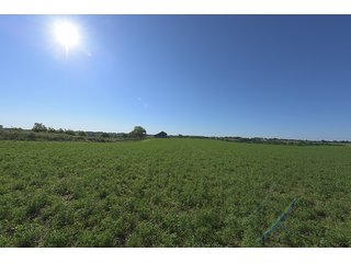TRACT 5 - ABSOLUTE REAL ESTATE AUCTION - 384.239+/- ACRES OFFERED IN 9 TRACTS IN MERCER COUNTY, KENTUCKY