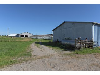 TRACT 2 - ABSOLUTE REAL ESTATE AUCTION - 384.239+/- ACRES OFFERED IN 9 TRACTS IN MERCER COUNTY, KENTUCKY