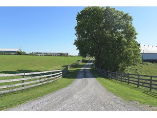 TRACTS 2 & 3 - ABSOLUTE REAL ESTATE AUCTION - 384.239+/- ACRES OFFERED IN 9 TRACTS IN MERCER COUNTY, KENTUCKY