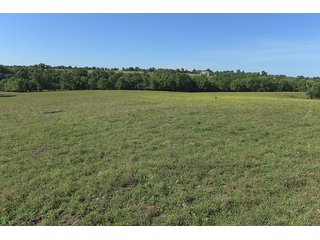 TRACT 3 - ABSOLUTE REAL ESTATE AUCTION - 384.239+/- ACRES OFFERED IN 9 TRACTS IN MERCER COUNTY, KENTUCKY