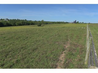 TRACT 3 - ABSOLUTE REAL ESTATE AUCTION - 384.239+/- ACRES OFFERED IN 9 TRACTS IN MERCER COUNTY, KENTUCKY
