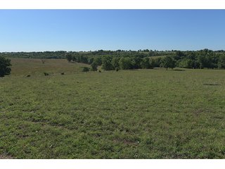 TRACT 3 - ABSOLUTE REAL ESTATE AUCTION - 384.239+/- ACRES OFFERED IN 9 TRACTS IN MERCER COUNTY, KENTUCKY