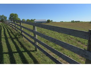 TRACT 3 - ABSOLUTE REAL ESTATE AUCTION - 384.239+/- ACRES OFFERED IN 9 TRACTS IN MERCER COUNTY, KENTUCKY