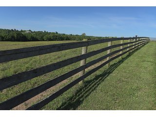 TRACT 3 - ABSOLUTE REAL ESTATE AUCTION - 384.239+/- ACRES OFFERED IN 9 TRACTS IN MERCER COUNTY, KENTUCKY