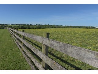 TRACT 3 - ABSOLUTE REAL ESTATE AUCTION - 384.239+/- ACRES OFFERED IN 9 TRACTS IN MERCER COUNTY, KENTUCKY