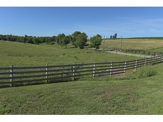 TRACT 3 - ABSOLUTE REAL ESTATE AUCTION - 384.239+/- ACRES OFFERED IN 9 TRACTS IN MERCER COUNTY, KENTUCKY
