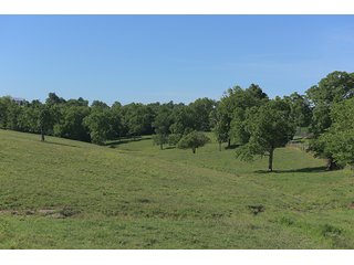 TRACT 3 - ABSOLUTE REAL ESTATE AUCTION - 384.239+/- ACRES OFFERED IN 9 TRACTS IN MERCER COUNTY, KENTUCKY