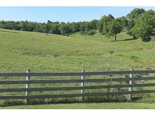 TRACT 3 - ABSOLUTE REAL ESTATE AUCTION - 384.239+/- ACRES OFFERED IN 9 TRACTS IN MERCER COUNTY, KENTUCKY