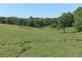 TRACT 3 - ABSOLUTE REAL ESTATE AUCTION - 384.239+/- ACRES OFFERED IN 9 TRACTS IN MERCER COUNTY, KENTUCKY