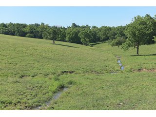 TRACT 3 - ABSOLUTE REAL ESTATE AUCTION - 384.239+/- ACRES OFFERED IN 9 TRACTS IN MERCER COUNTY, KENTUCKY