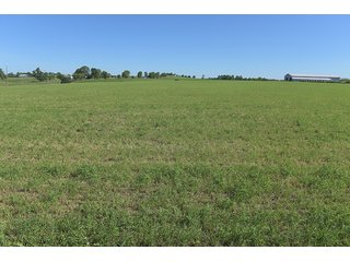 TRACT 2 - ABSOLUTE REAL ESTATE AUCTION - 384.239+/- ACRES OFFERED IN 9 TRACTS IN MERCER COUNTY, KENTUCKY