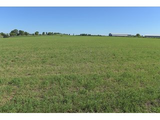 TRACT 2 - ABSOLUTE REAL ESTATE AUCTION - 384.239+/- ACRES OFFERED IN 9 TRACTS IN MERCER COUNTY, KENTUCKY