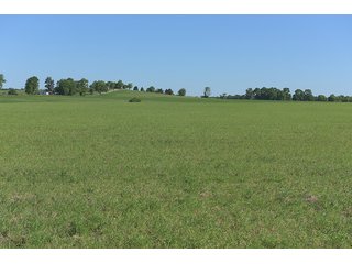TRACT 2 - ABSOLUTE REAL ESTATE AUCTION - 384.239+/- ACRES OFFERED IN 9 TRACTS IN MERCER COUNTY, KENTUCKY