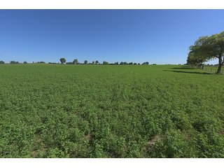 TRACT 1 - ABSOLUTE REAL ESTATE AUCTION - 384.239+/- ACRES OFFERED IN 9 TRACTS IN MERCER COUNTY, KENTUCKY