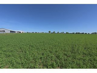 TRACT 1 - ABSOLUTE REAL ESTATE AUCTION - 384.239+/- ACRES OFFERED IN 9 TRACTS IN MERCER COUNTY, KENTUCKY