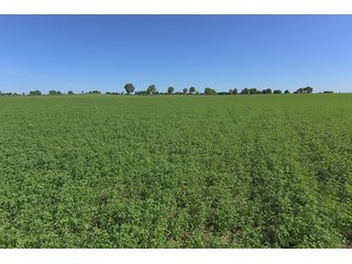 TRACT 1 - ABSOLUTE REAL ESTATE AUCTION - 384.239+/- ACRES OFFERED IN 9 TRACTS IN MERCER COUNTY, KENTUCKY